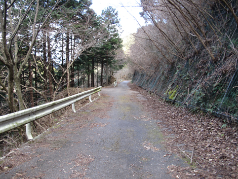 20170113hike (497)